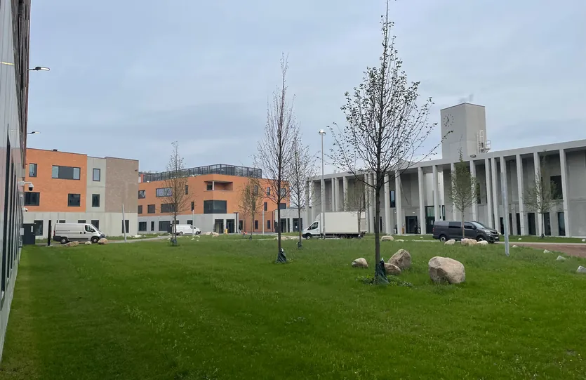 Centraal plein met bomen en de gebouwen er rond